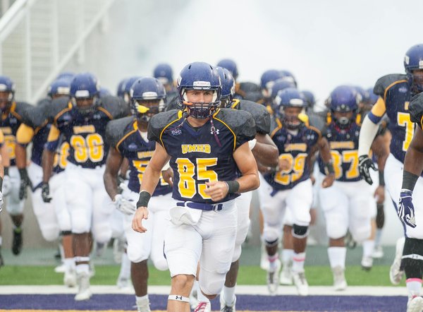 ¿Cómo hacer del hogar un lugar seguro para las mascotas?